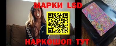 стафф Ставрополь