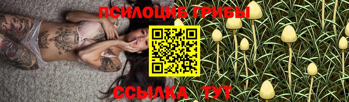 Псилоцибиновые грибы мицелий Нижний Тагил